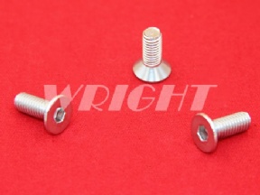 109044114 Screw stainless Charmilles wear parts