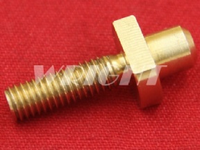200443211 443.211 Charmilles brass screw M5