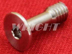 200443964 443.964 Charmilles Screw for current supply