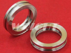 135011488 Charmilles EDM sealing ring